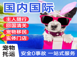 阿勒泰雪都机场货运国际宠物托运 【国